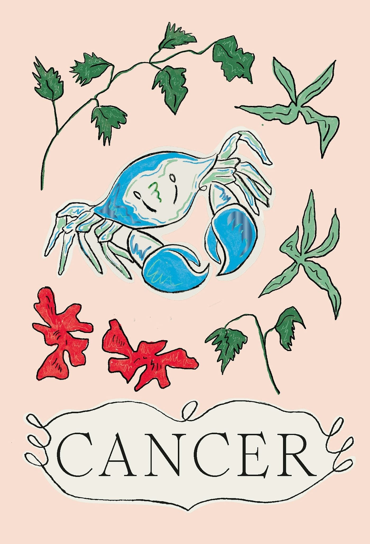 Book cover image for Cancer ISBN: 9781914317965